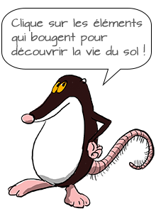 Clique sur les éléments qui bougent pour découvrir la vie du sol !