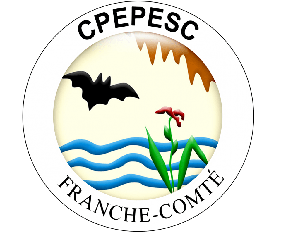 logo cpepesc