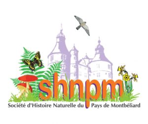 logo shnpm