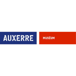 museum-auxerre