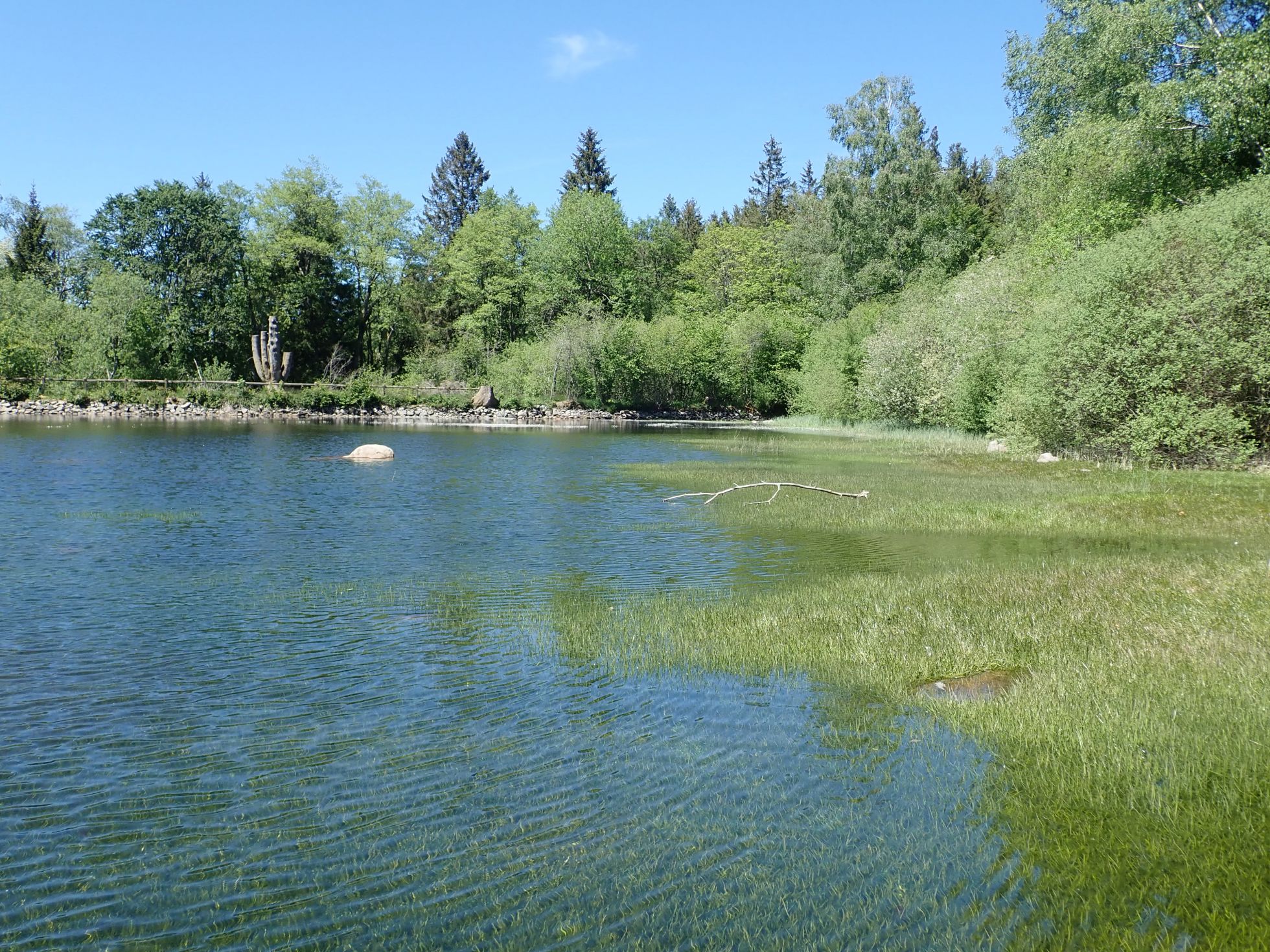 L’étang de Préperny, l’une des 12 entités de la Réserve © R. ITRAC-BRUNEAU