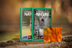 Abonnement 2025 – N°41-42