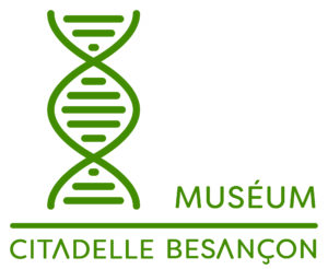 logo museum besançon