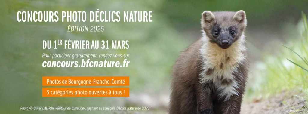 Bannière concours Déclics Nature 2025