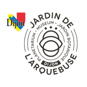 LOGO-JDS