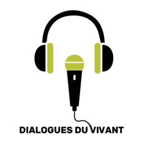 logo DDV