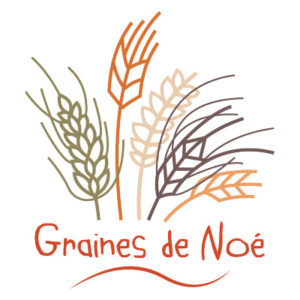 logo graine de noé