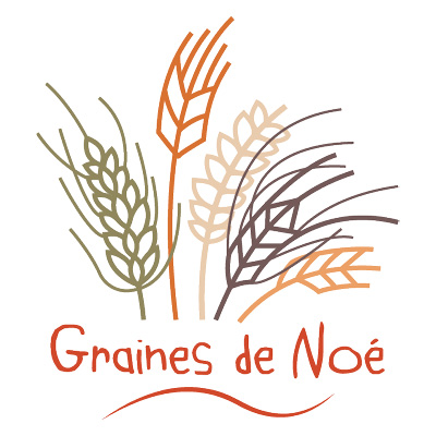 logo graine de noé