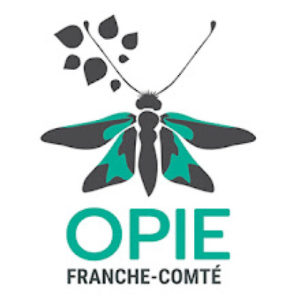 logo opie fc