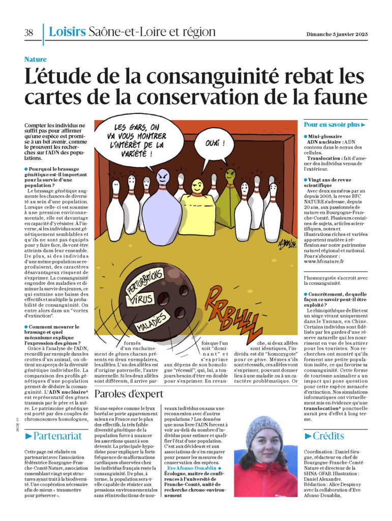 article QDN 2025