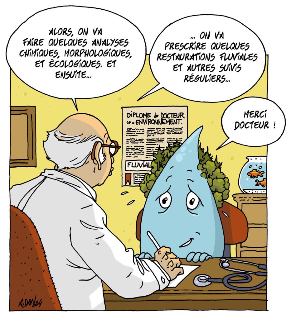 Au chevet des rivières avec la restauration fluviale