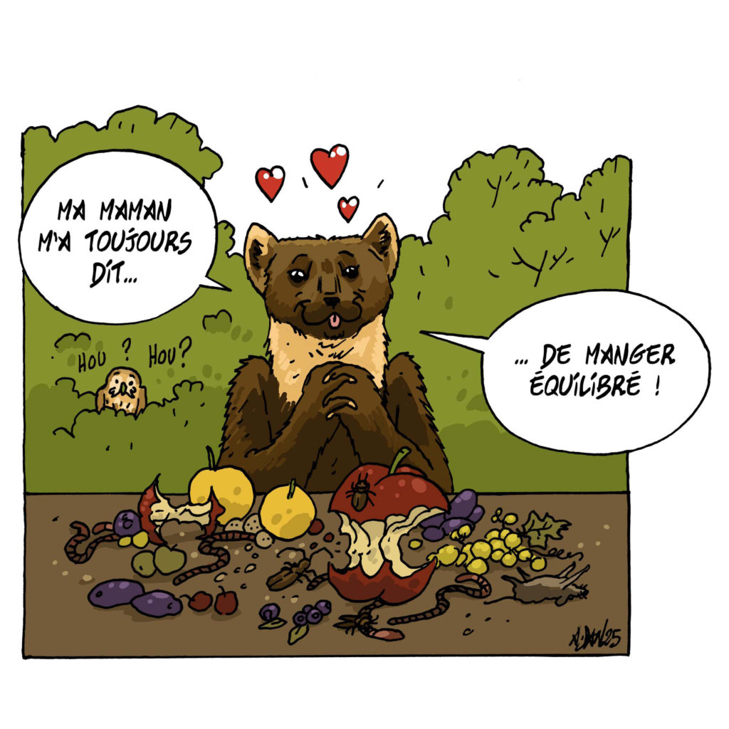 illu martre