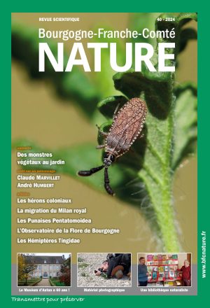 N°40 – Émerveiller pour instruire !
