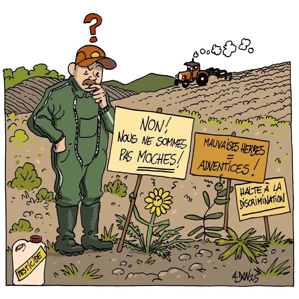 illu_agri