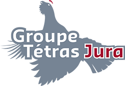 logo tetras jura