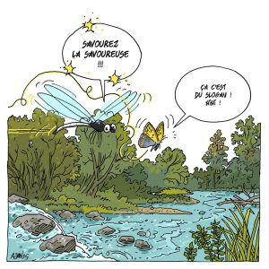 illu savoureuse
