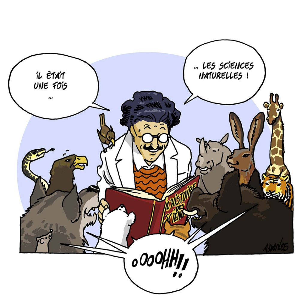 illu emerveillement