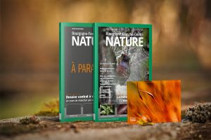 Abonnement 2025 – N°41-42