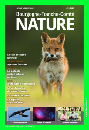 N°42 – La nature a besoin du droit, mais lequel ?