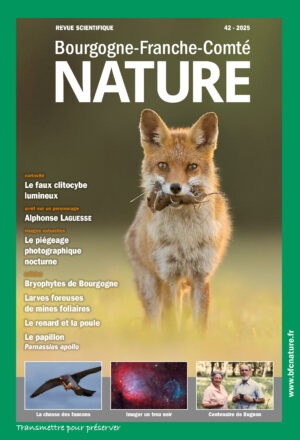 N°42 – La nature a besoin du droit, mais lequel ?