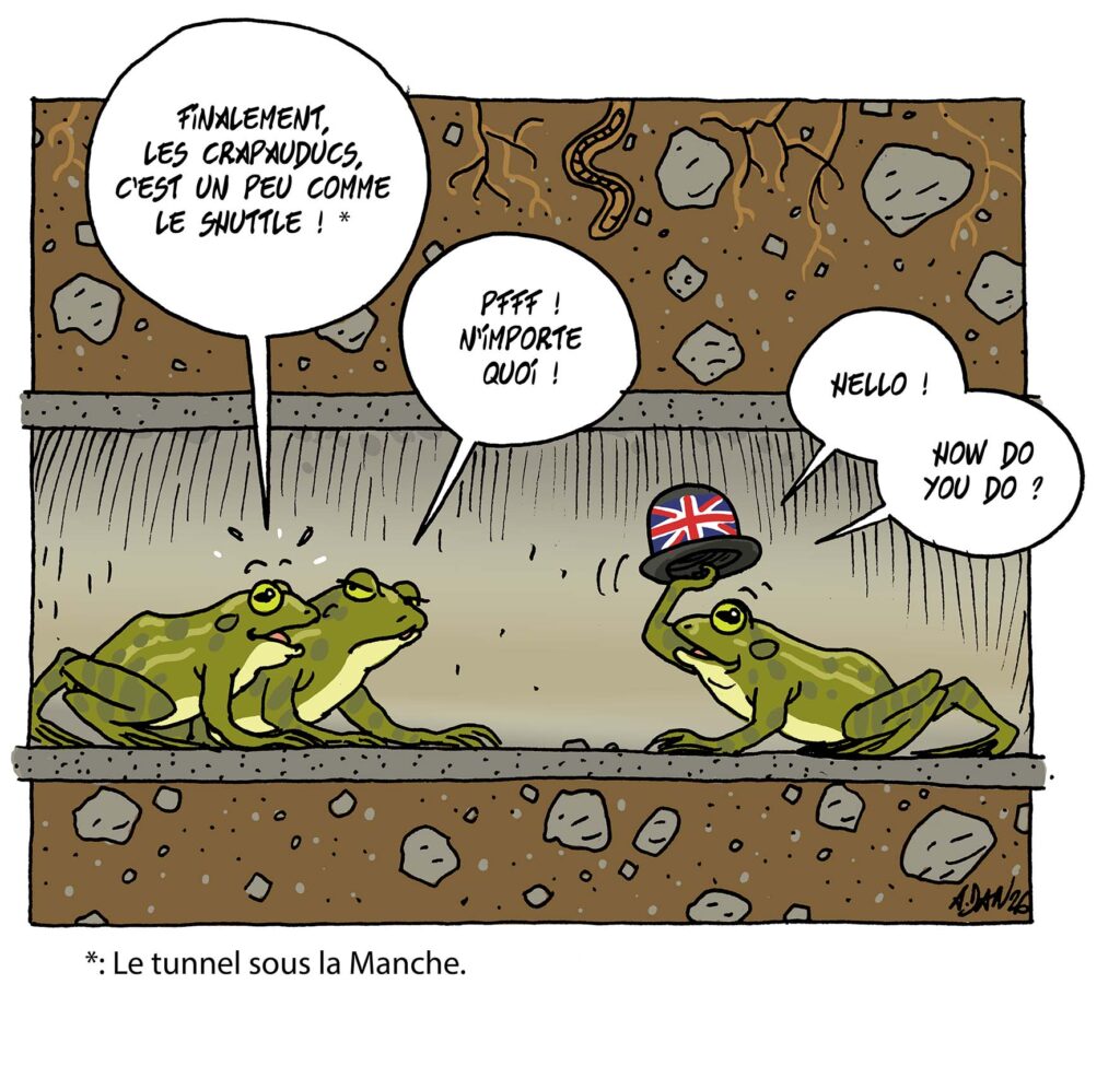 passages souterrains amphibiens