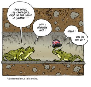 passages souterrains amphibiens