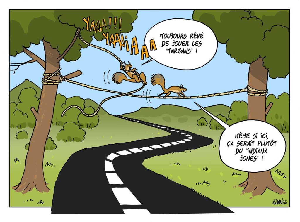 Des passerelles pour les écureuils