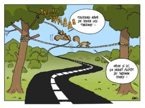 Des passerelles pour les écureuils