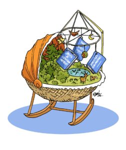 Au berceau du droit de l’environnement