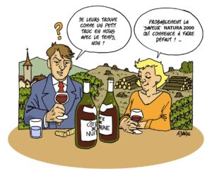 Hautes côtes : des pistes pour endiguer une mer de vignes