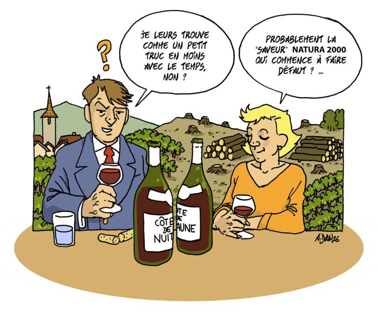 Hautes côtes : des pistes pour endiguer une mer de vignes