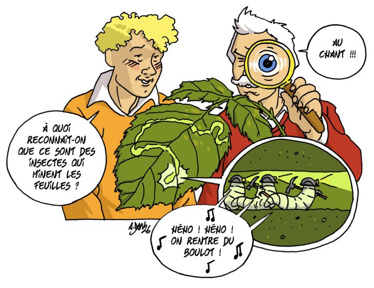 Le serpentueux parcours des mineurs de feuilles