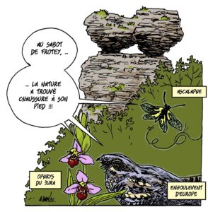 La Réserve Naturelle Nationale du Sabot de Frotey, des milieux secs remarquables et fragiles