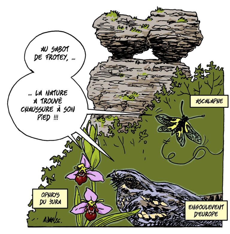 La Réserve Naturelle Nationale du Sabot de Frotey, des milieux secs remarquables et fragiles